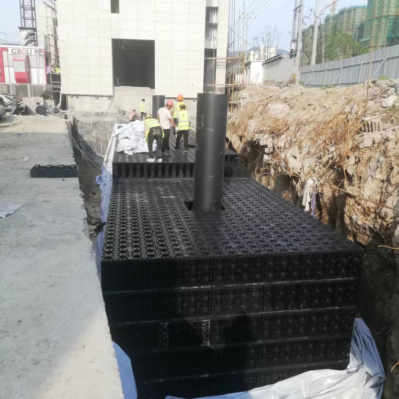 1656985801141557.jpg 5.jpg